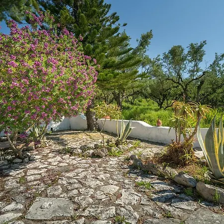 Astarte Villas - Lane